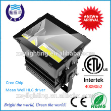 CETL DLC 1000W luz de inundação LED com driver meanwell